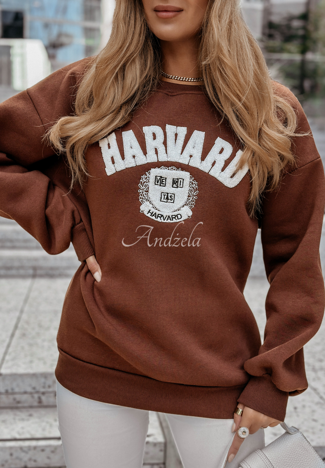 Sweatshirt mit Aufschrift Harvard Schokoladenbraun