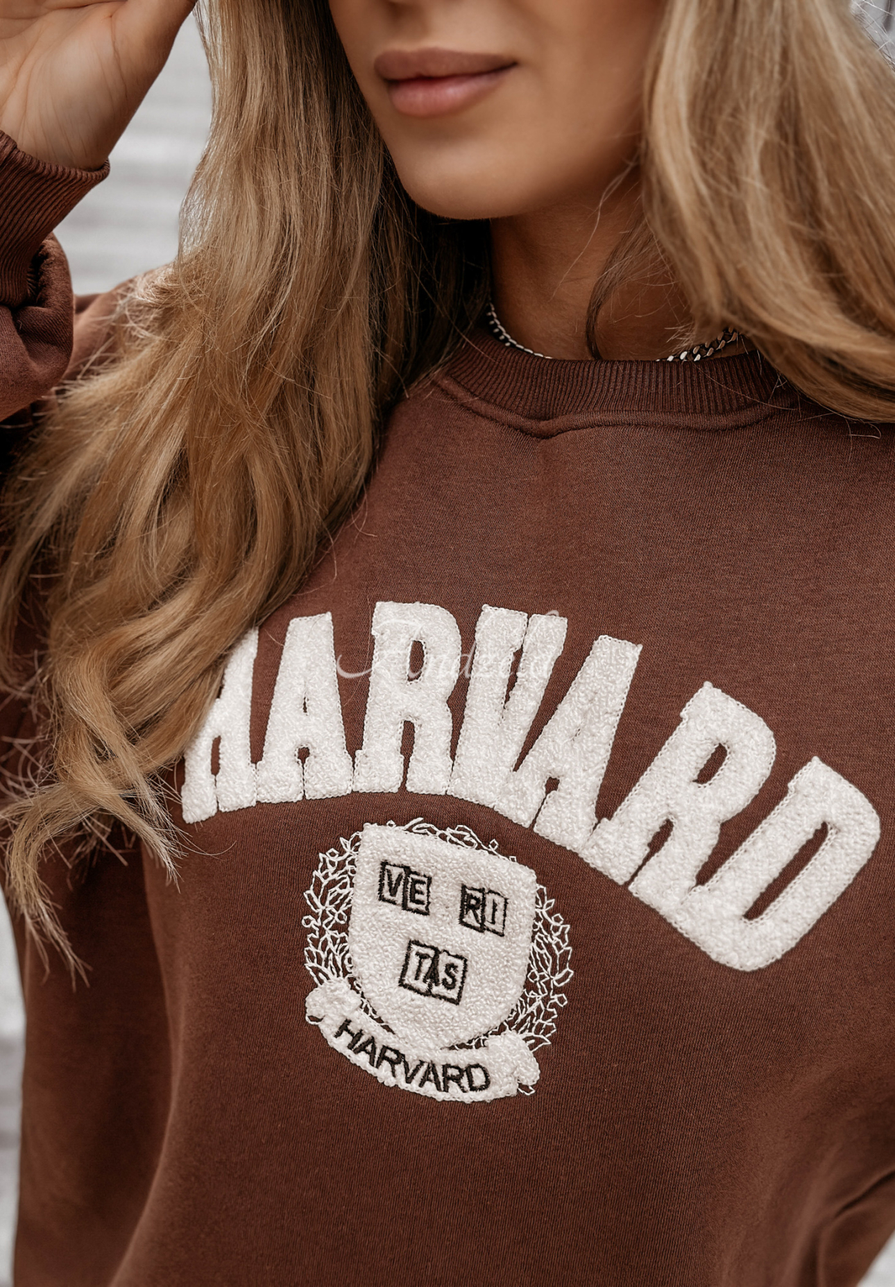 Sweatshirt mit Aufschrift Harvard Schokoladenbraun