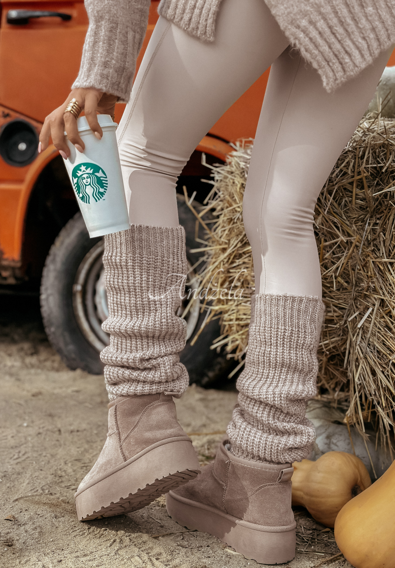 Knitted leg warmers leg gaiters Crisp Winter beige.