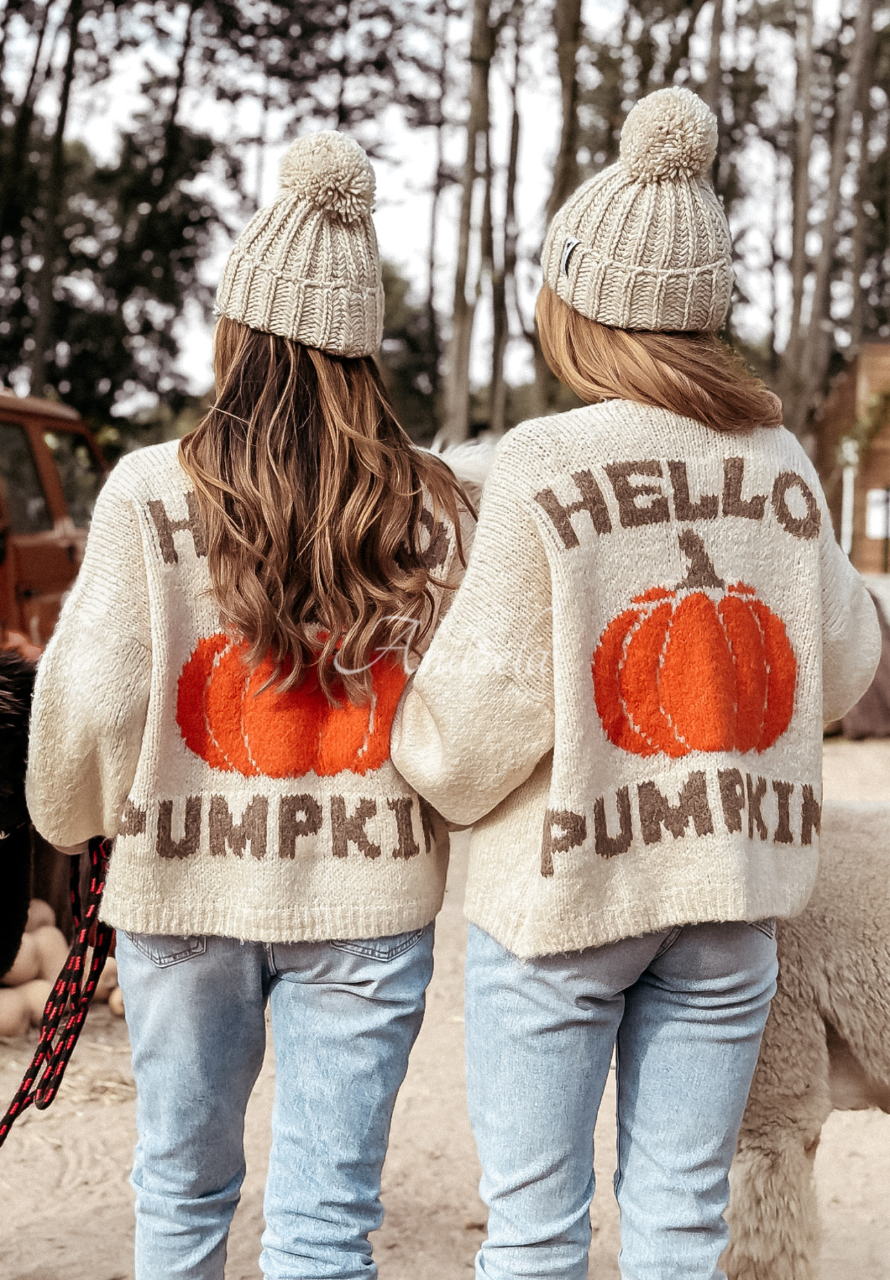 Cardigan Oversize Hello Pumpkin Beige