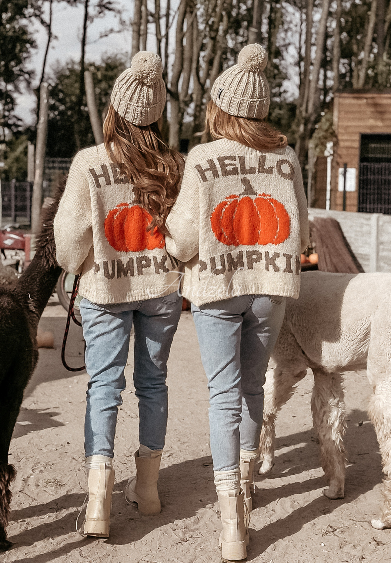 Cardigan Oversize Hello Pumpkin Beige