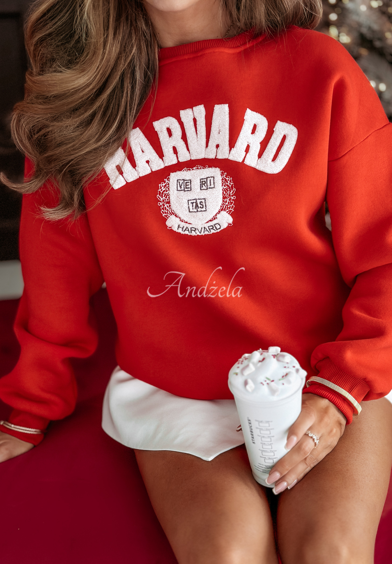 Sweatshirt mit Aufschrift Harvard Rot