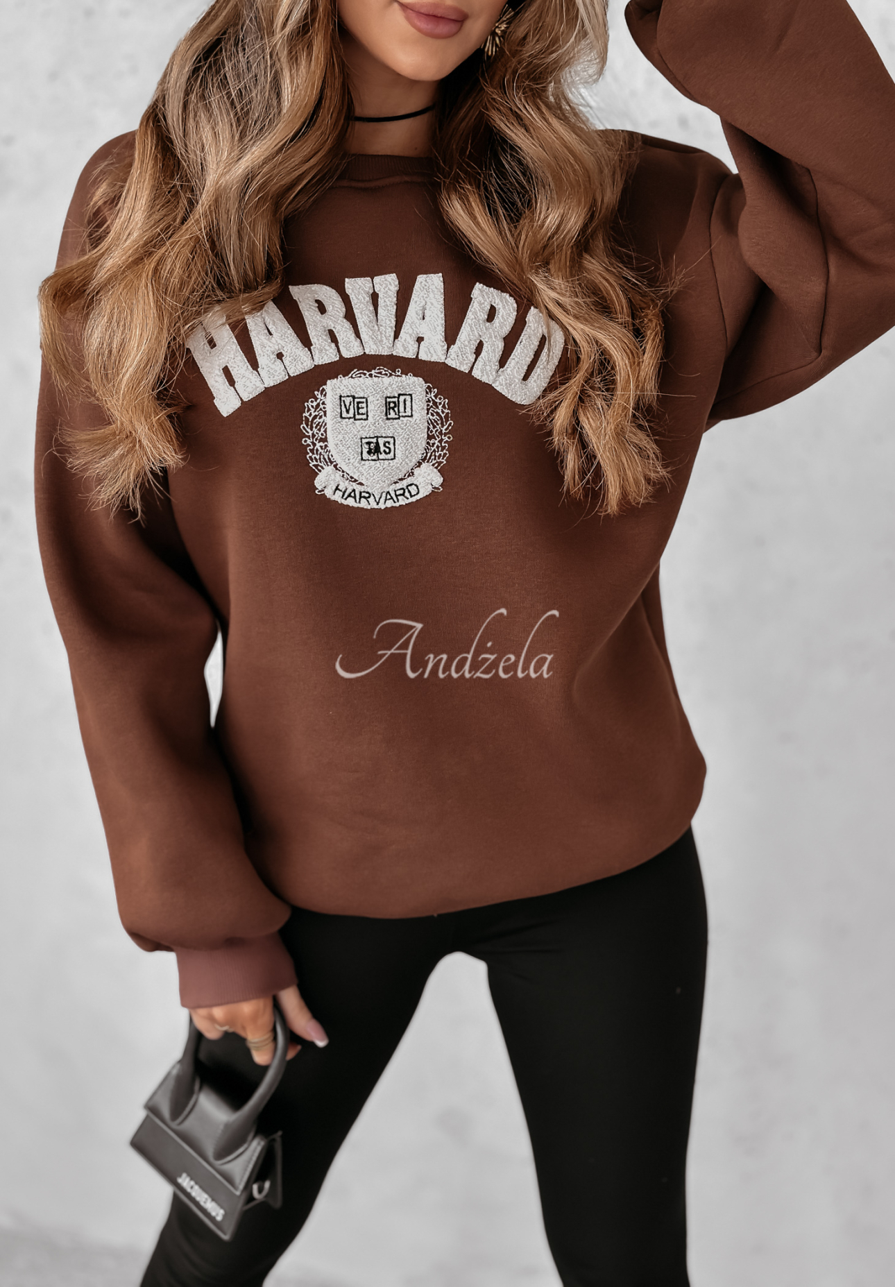 Sweatshirt mit Aufschrift Harvard Schokoladenbraun