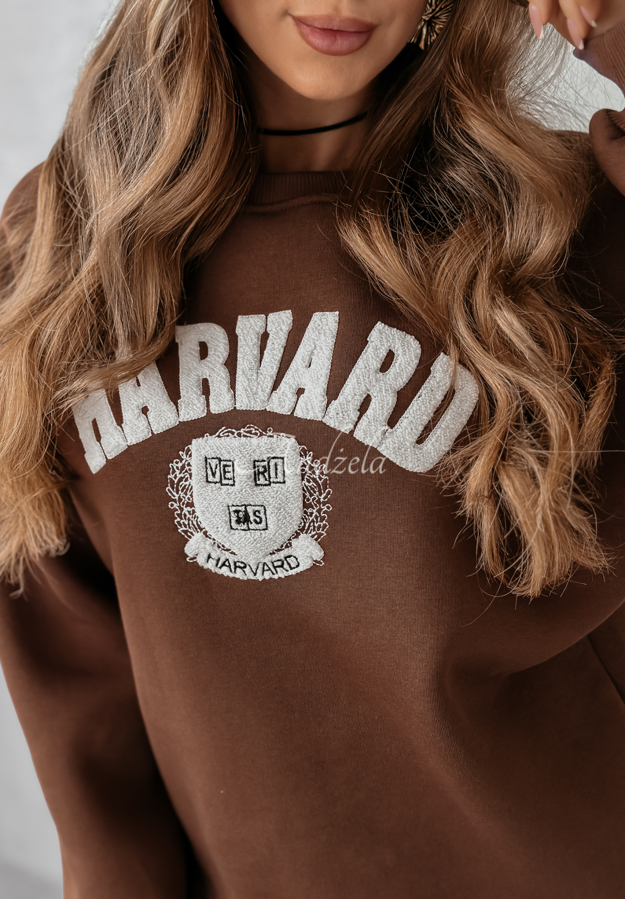 Sweatshirt mit Aufschrift Harvard Schokoladenbraun