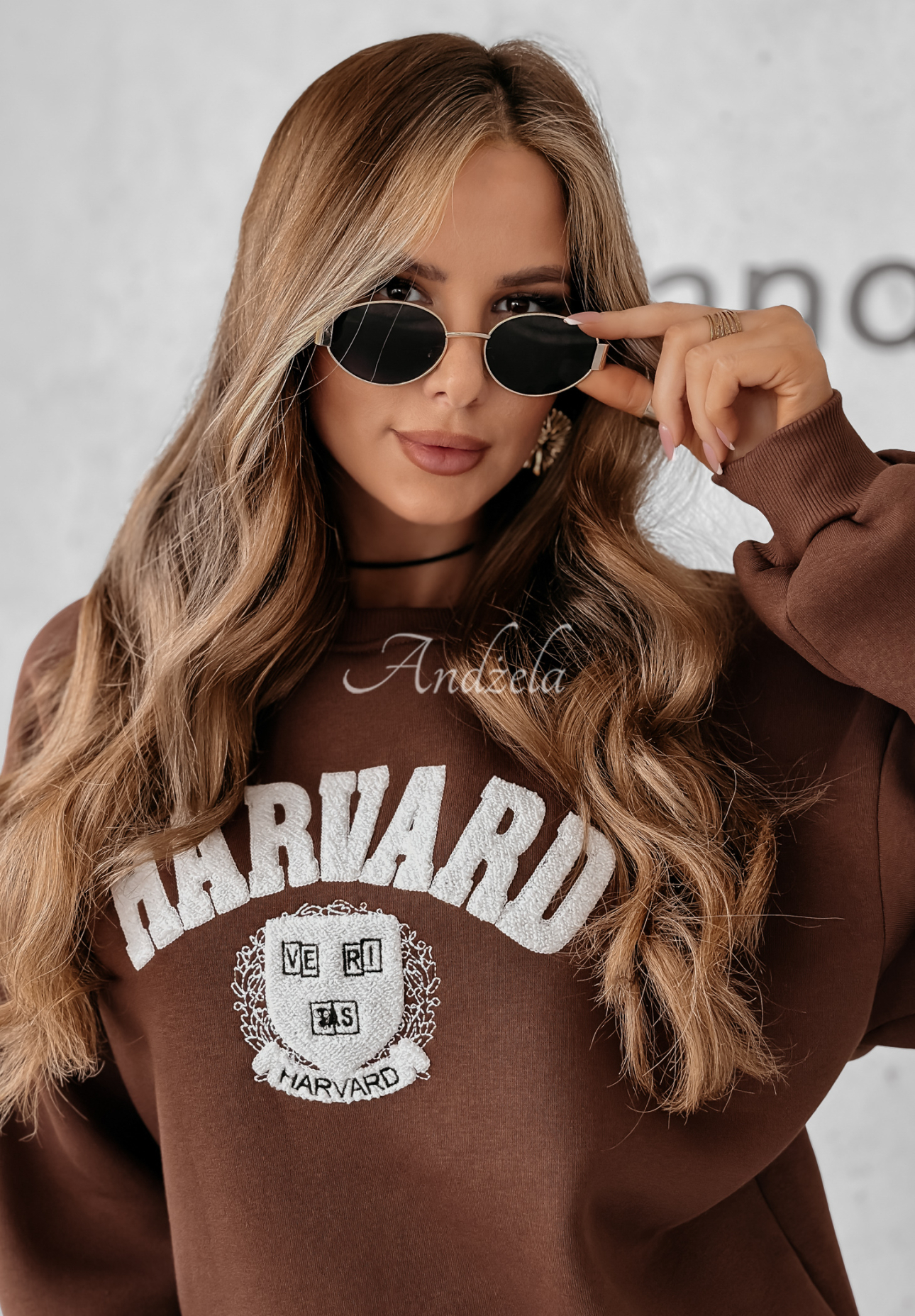 Sweatshirt mit Aufschrift Harvard Schokoladenbraun