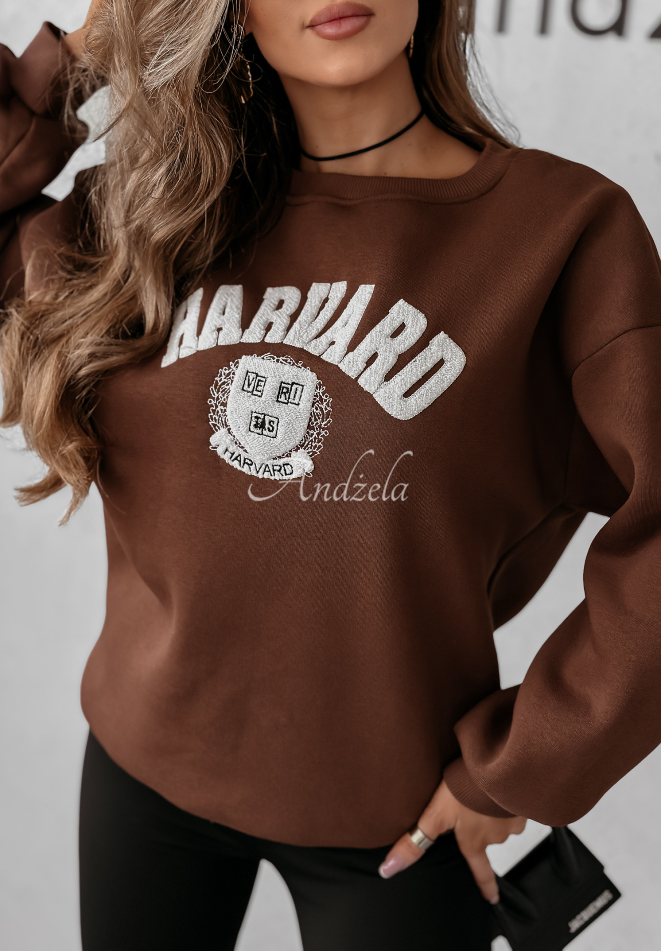 Sweatshirt mit Aufschrift Harvard Schokoladenbraun