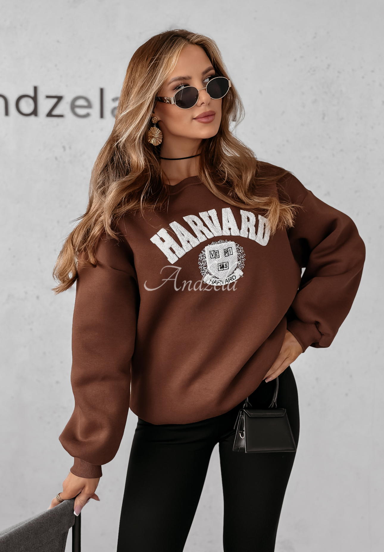 Sweatshirt mit Aufschrift Harvard Schokoladenbraun