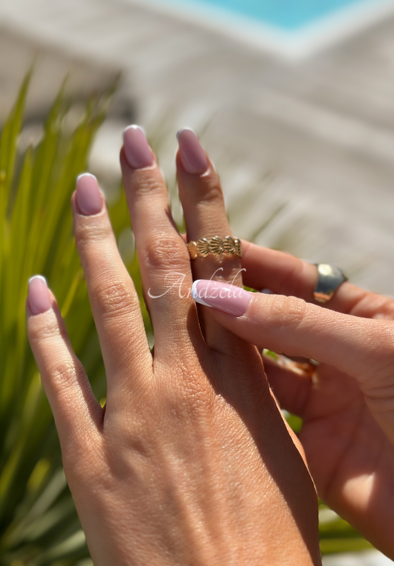 Lavande shell gold ring