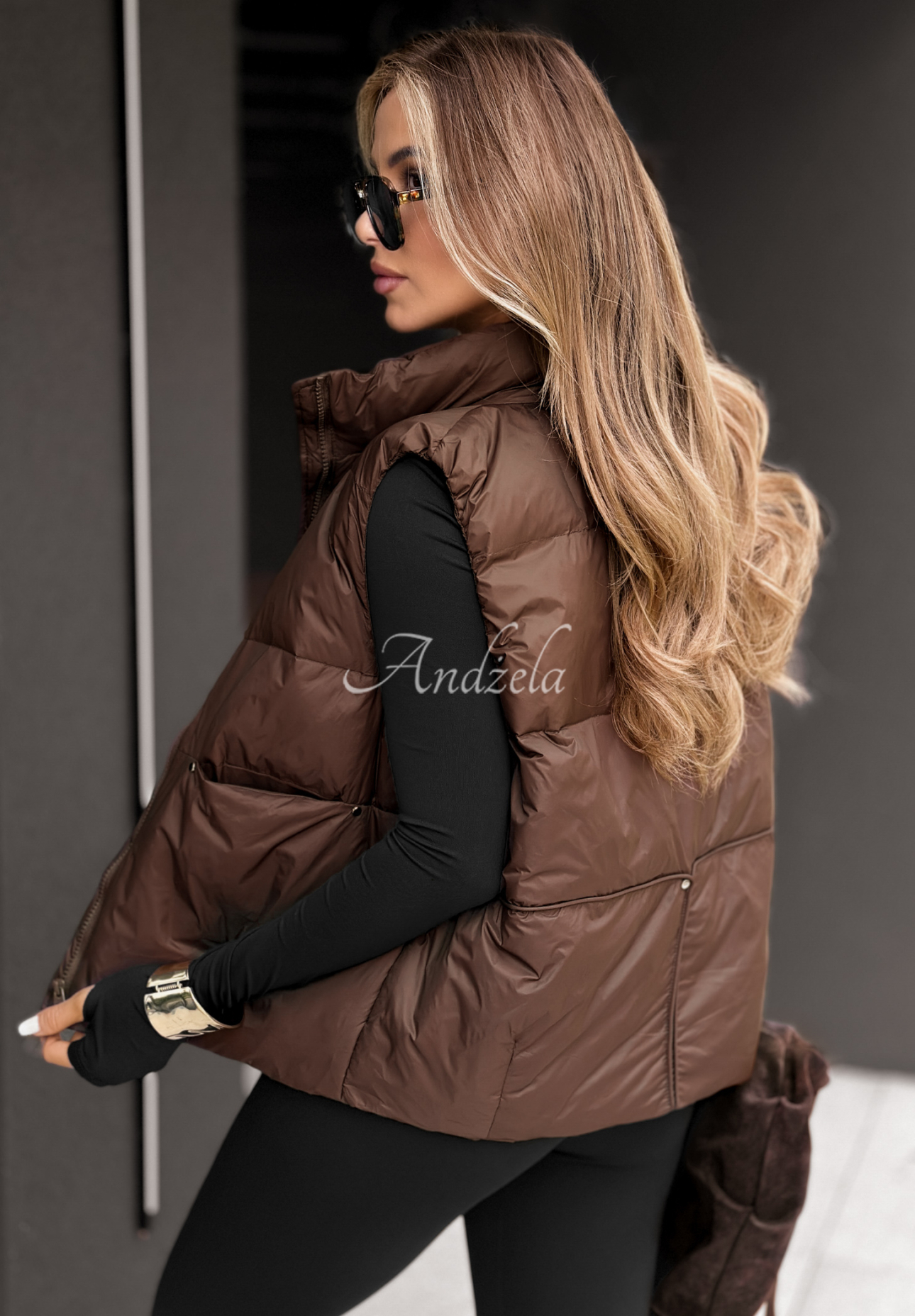 Say Nothing chocolate down vest