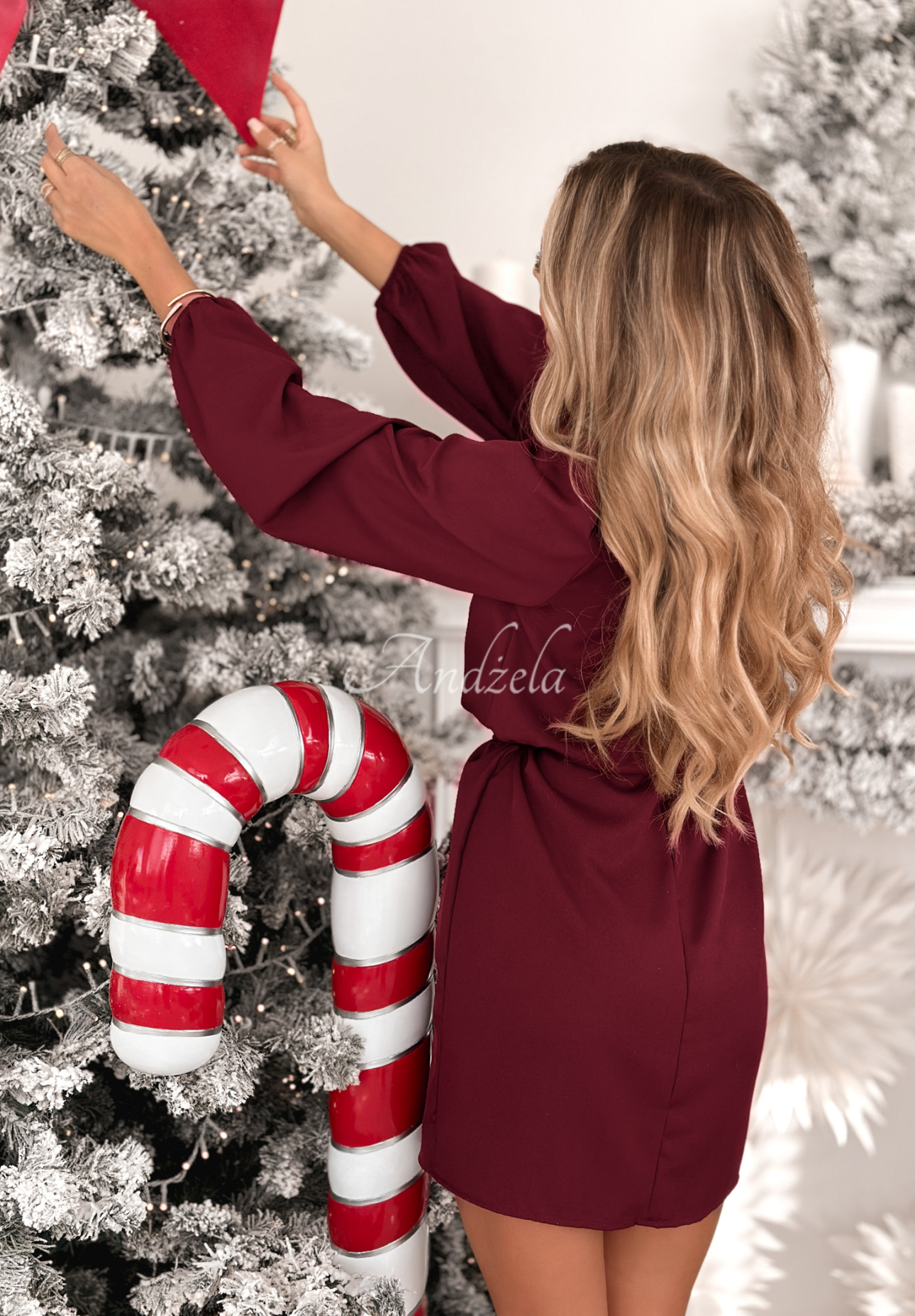 Kleid mit Puffärmeln und Gürtel Crazy About You Burgunderrot