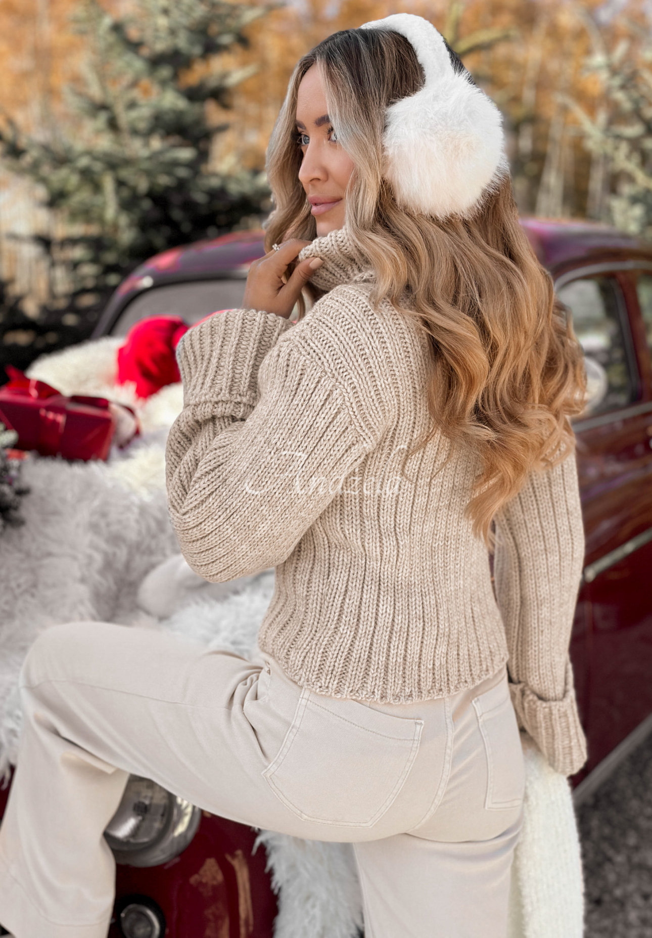 Kurzer Rollkragenpullover aus Wolle We Take Chances Beige