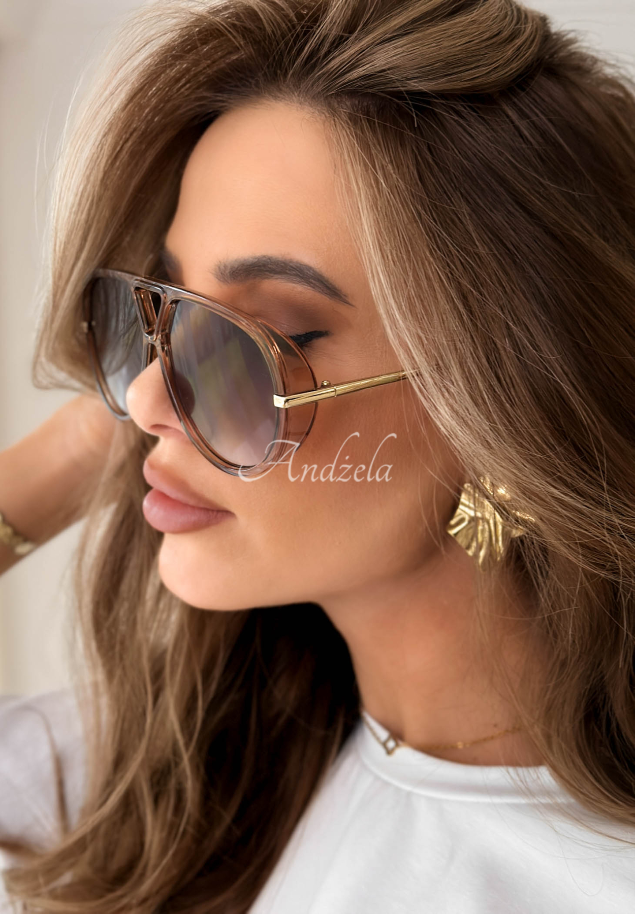 Sonnenbrille New Chicago Braun