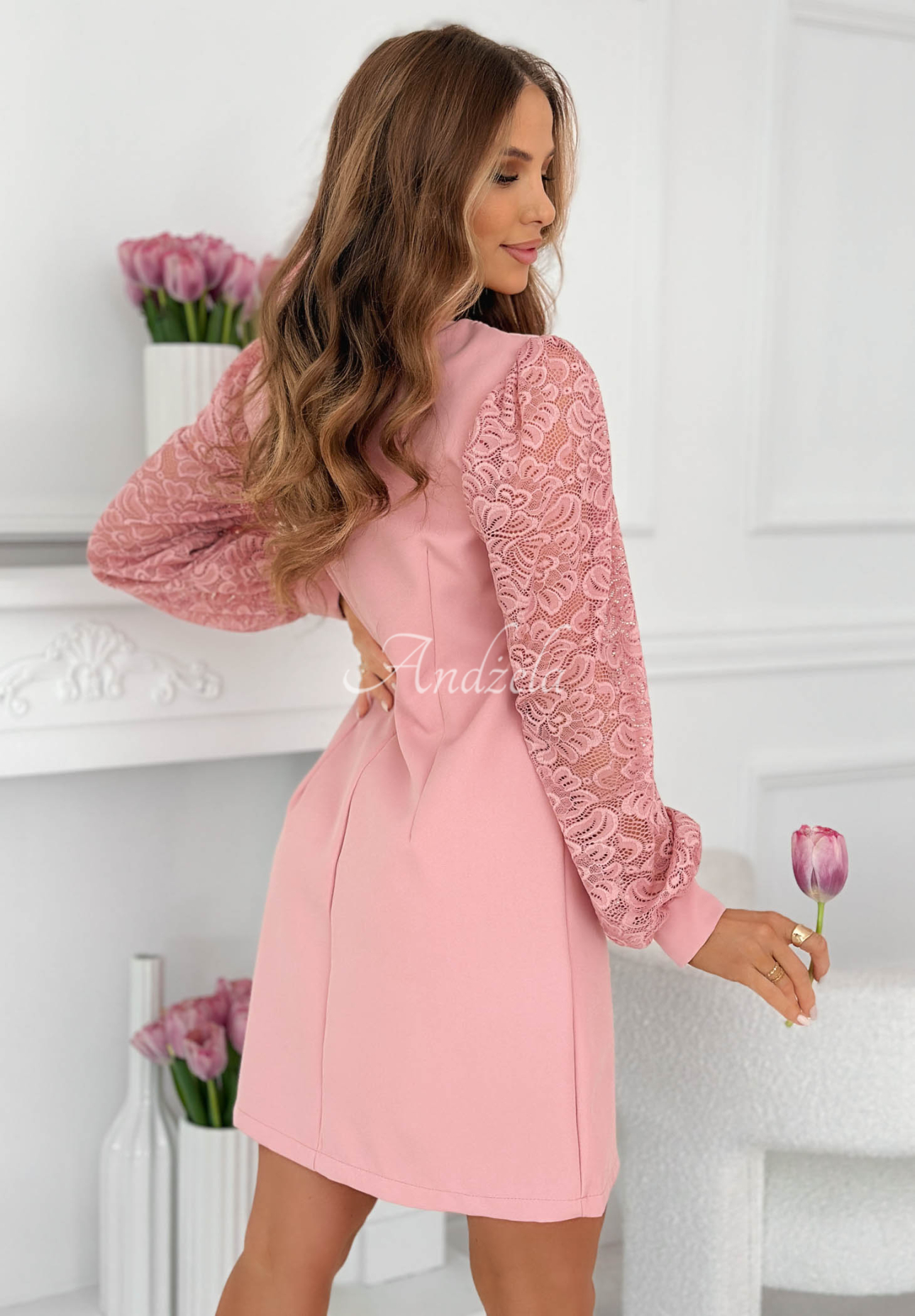 Daniela Dress with Lace Sleeves in Powder Pink