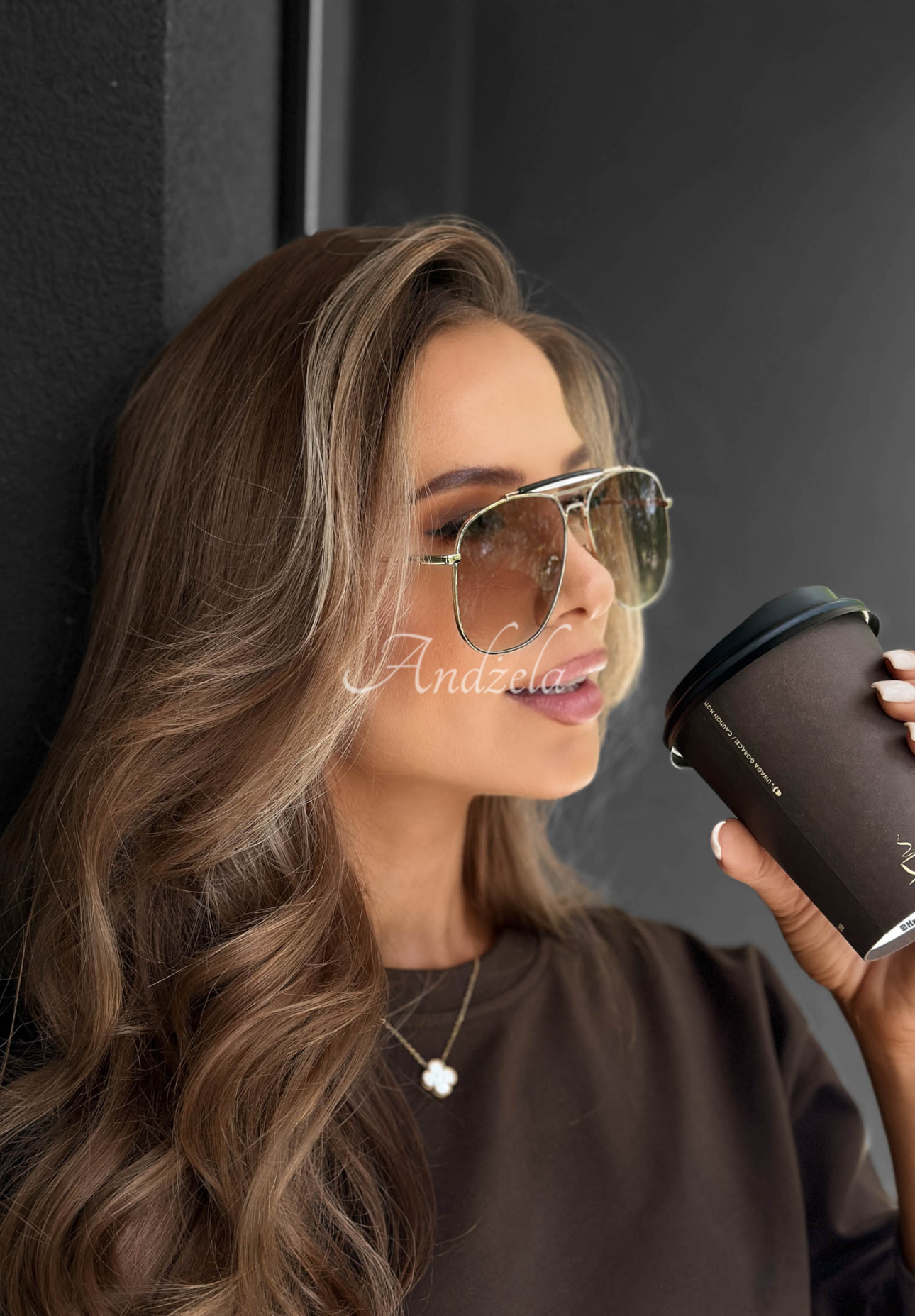 Sonnenbrille Warm Shade Braun