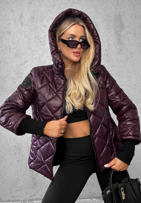 Steppjacke mit Kapuze Just The Wind Beerenfarben